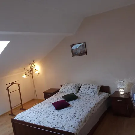 центр 1 кім 5-6 місць Apartment Mukacheve